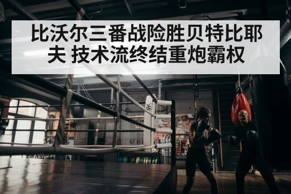 boxer training