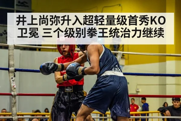 井上尚弥升入超轻量级首秀KO卫冕 三个级别拳王统治力继续