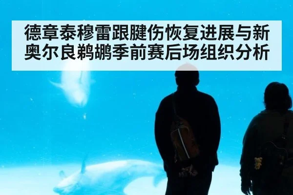 德章泰穆雷跟腱伤恢复进展与新奥尔良鹈鹕季前赛后场组织分析
